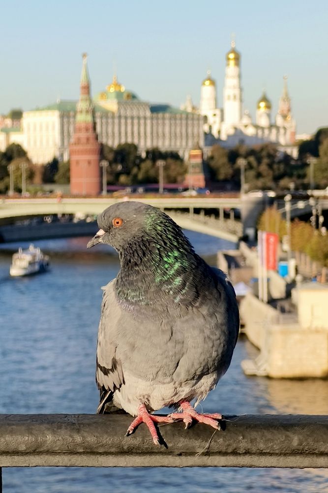 Photograph by Наталья Яковлева