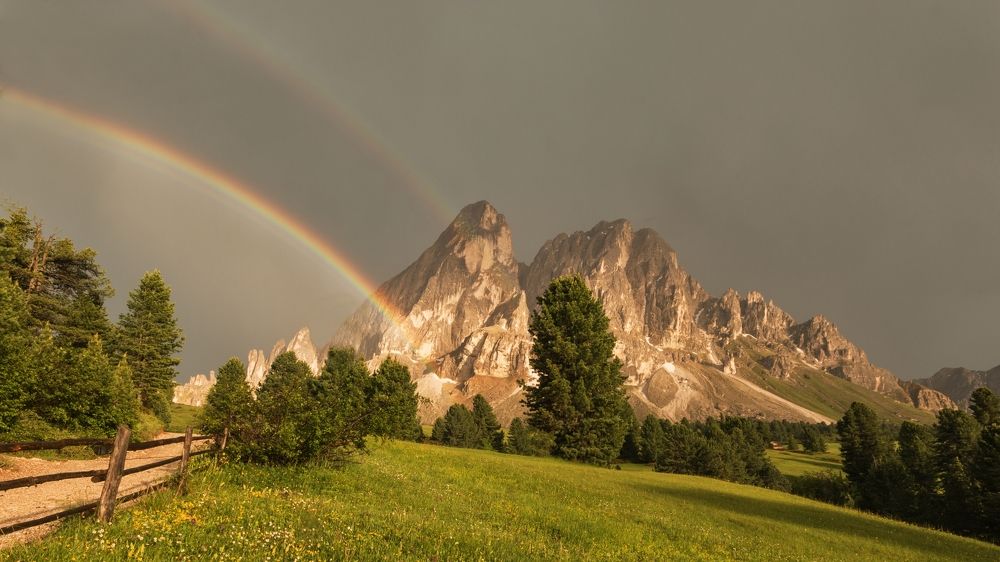 Photograph by Jiří Hakauf