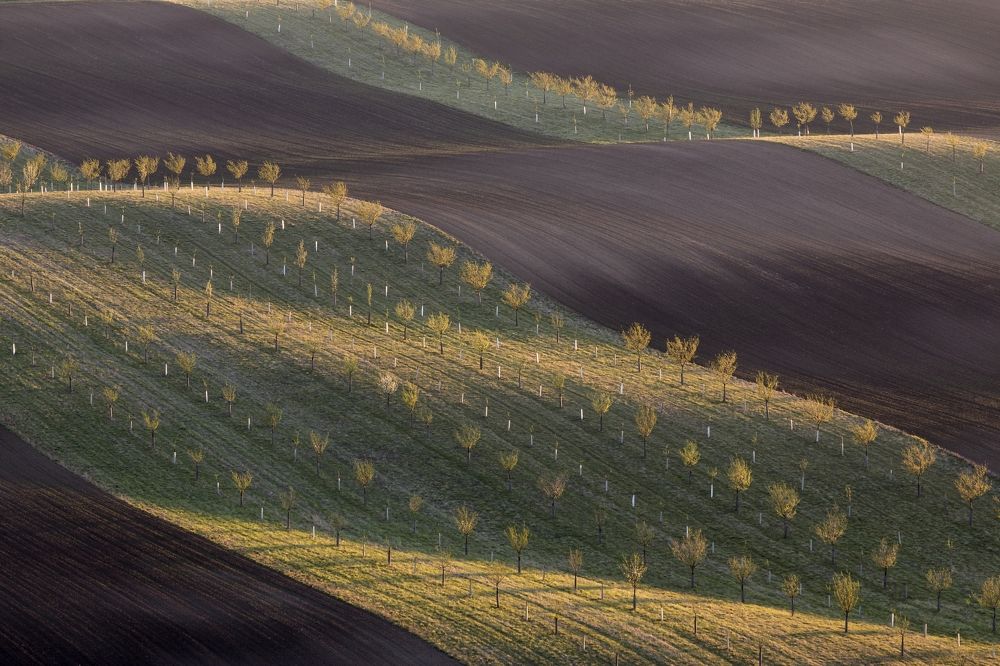 Photograph by Jiří Hakauf