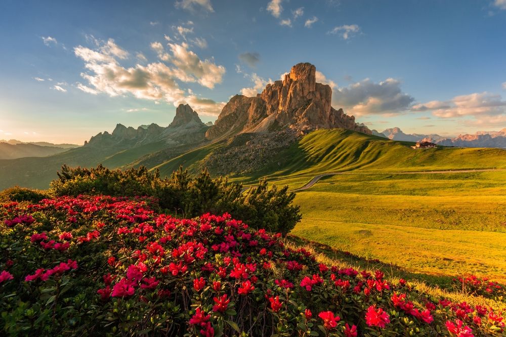 Photograph by Jiří Hakauf