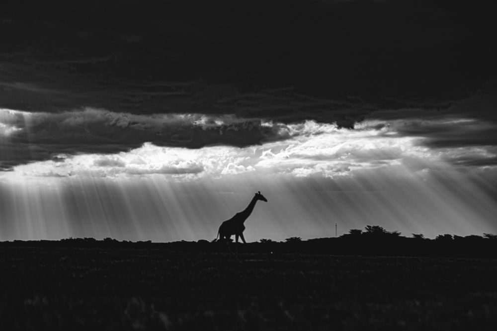 Фотография автора Sudipta Chakraborty