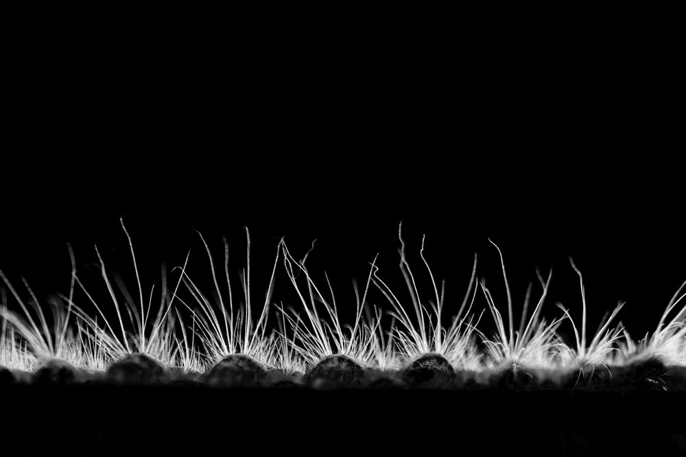 Фотография автора Sudipta Chakraborty