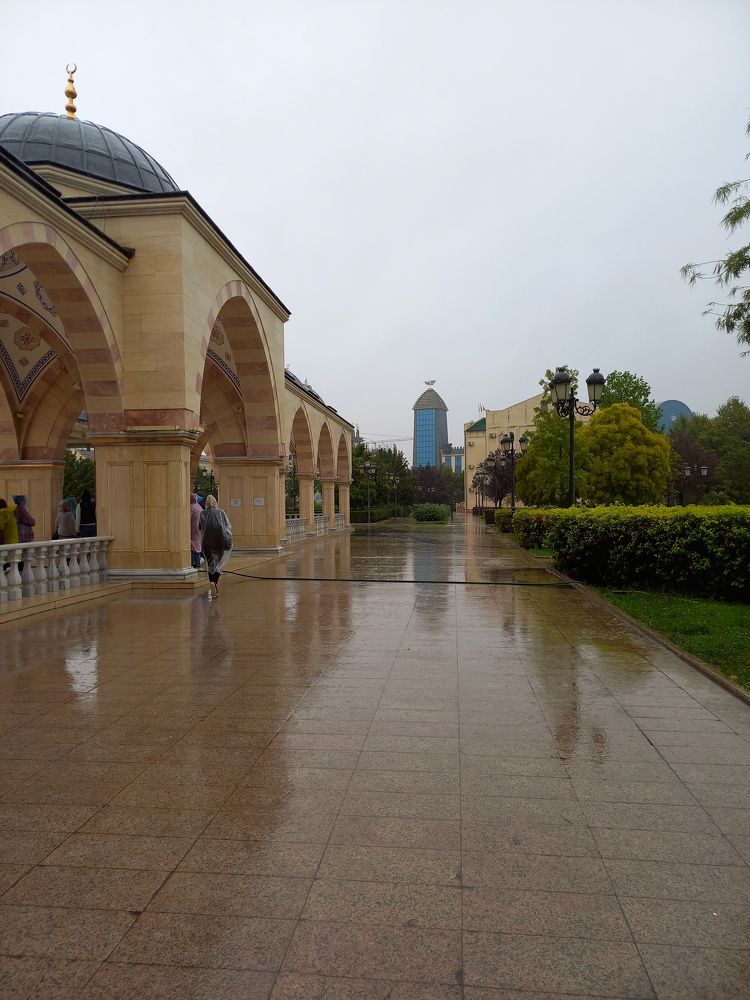 Photograph by Людмила Сотникова