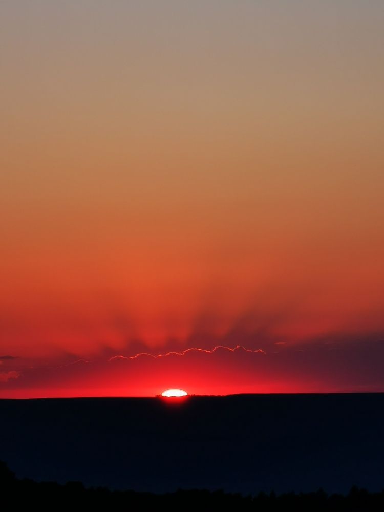 Photograph by Наталья Яковлева