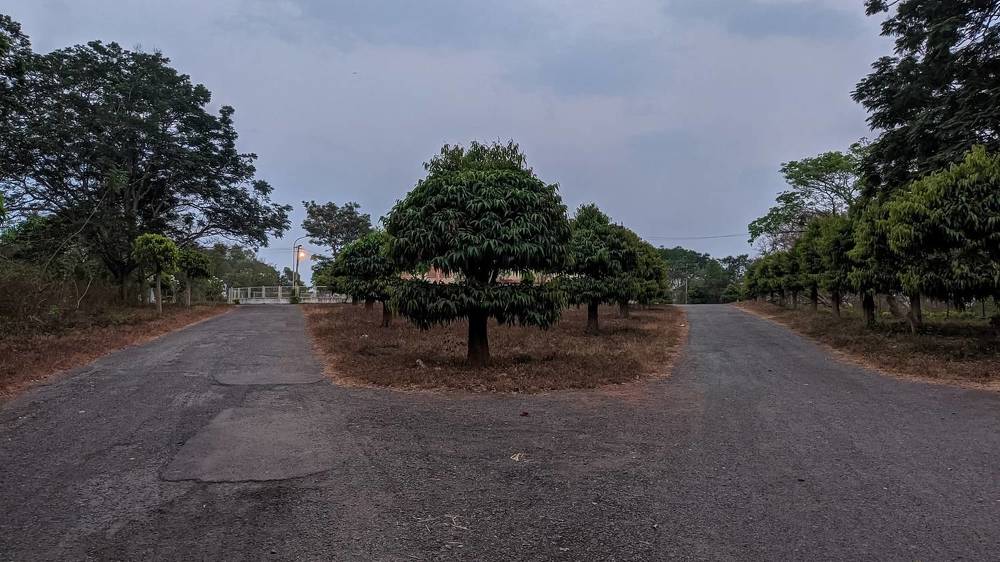 Photograph by Vijayakumar