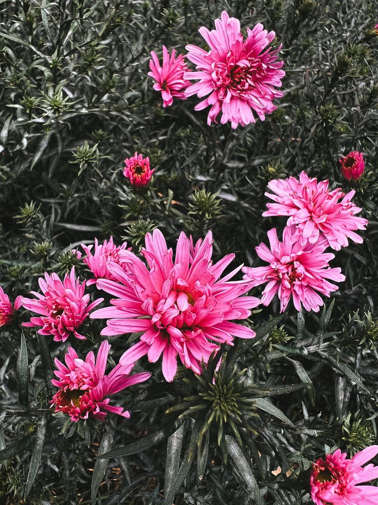 Photograph by Анастасия Германова