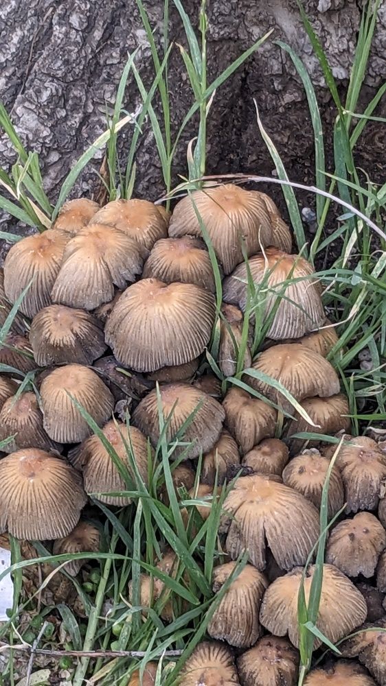 Photograph by Lilit Petrosyan