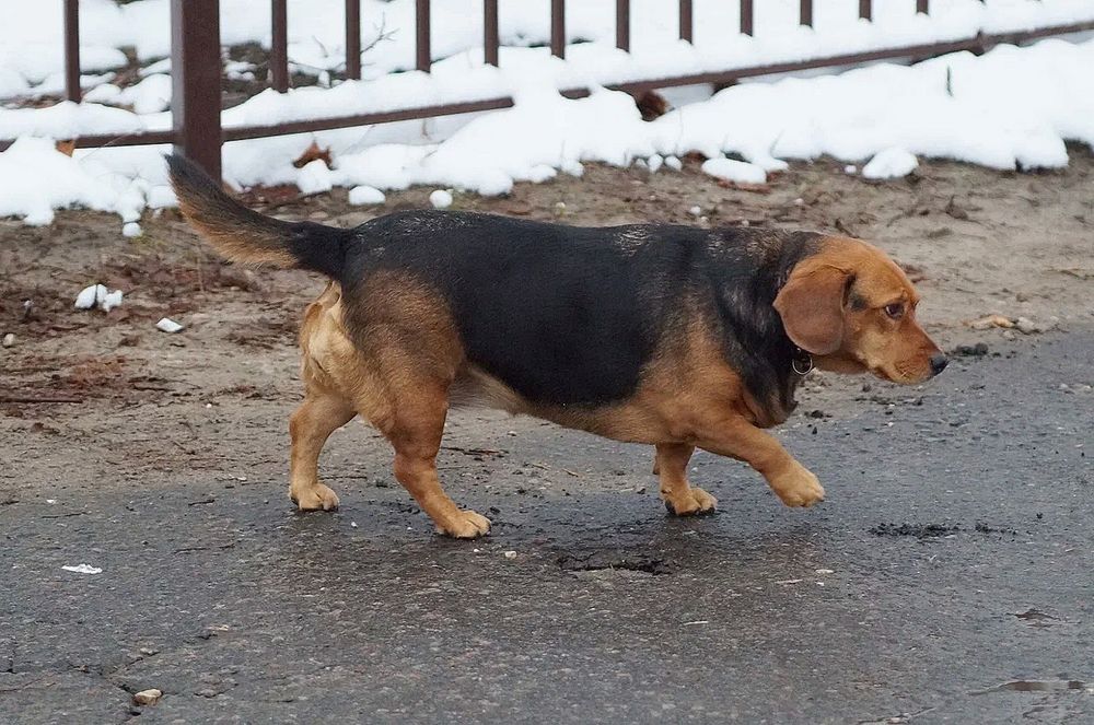 Photograph by Светлана Логинова