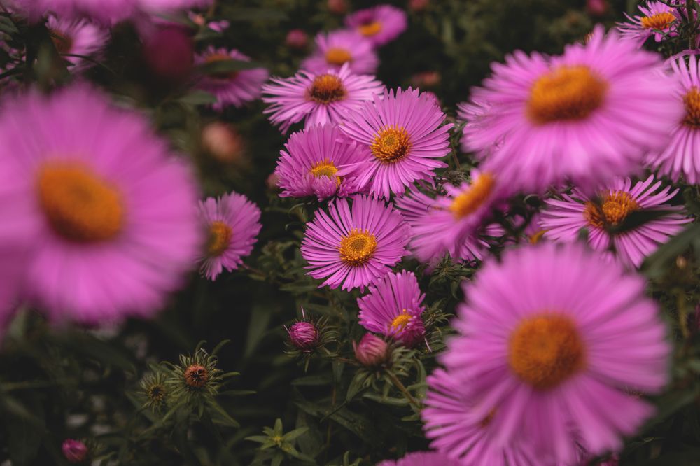 Фотография автора Алексей