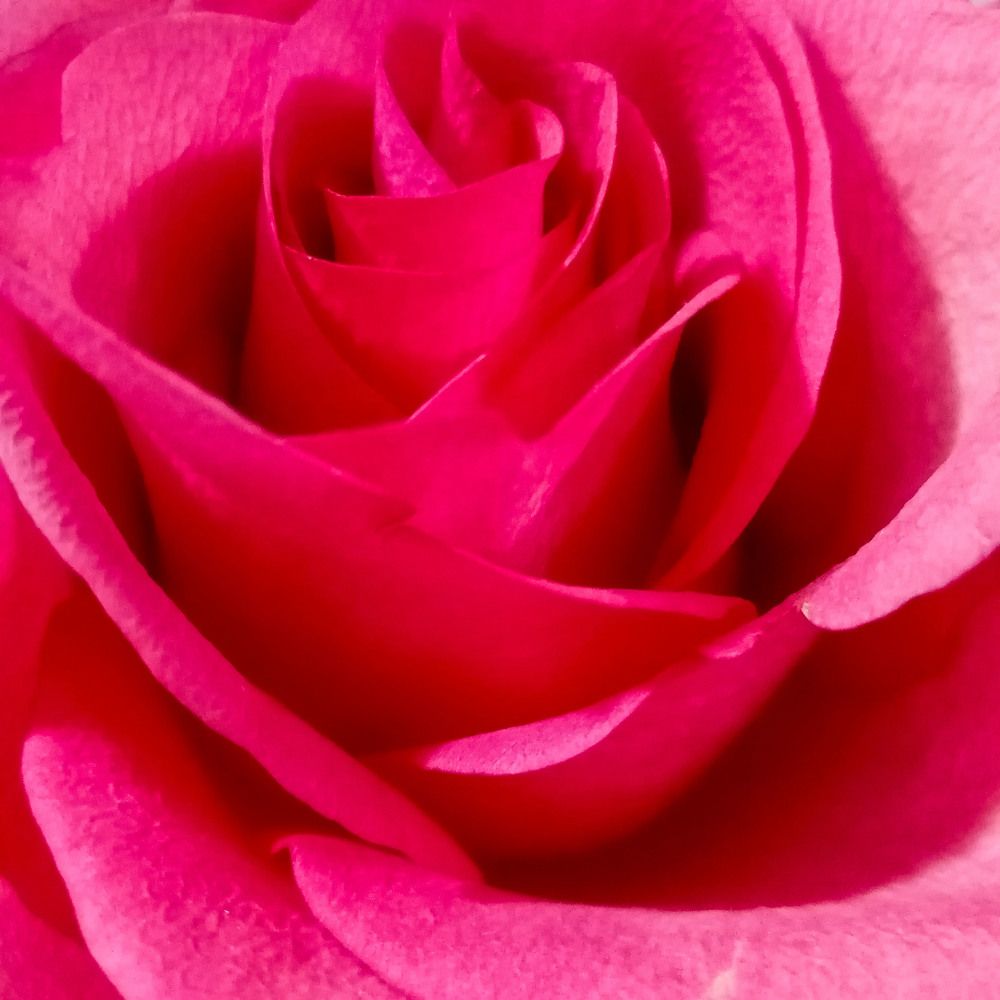 Photograph by Оксана Подъельская