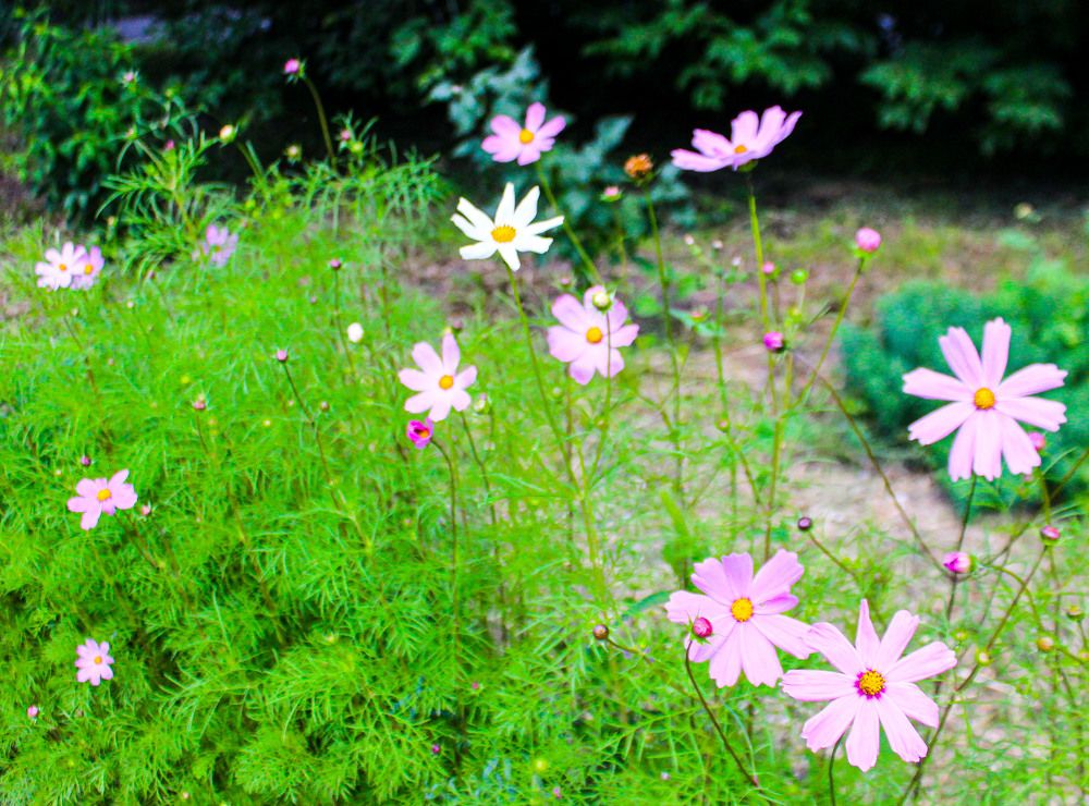 Photograph by Оксана Подъельская