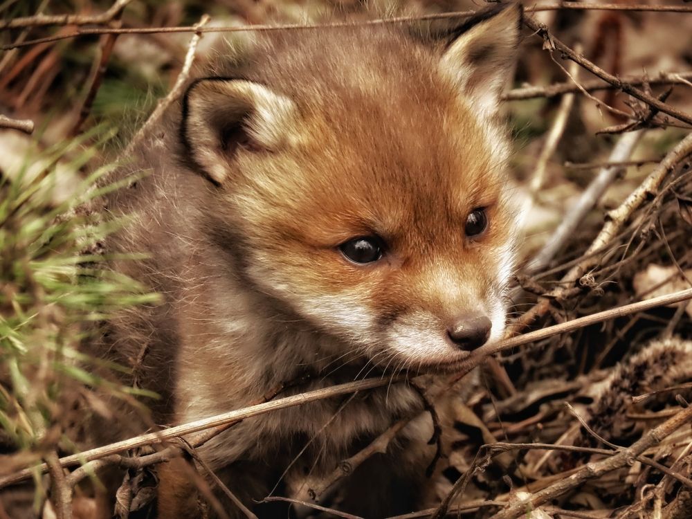 Фотография автора Екатерина Солохина