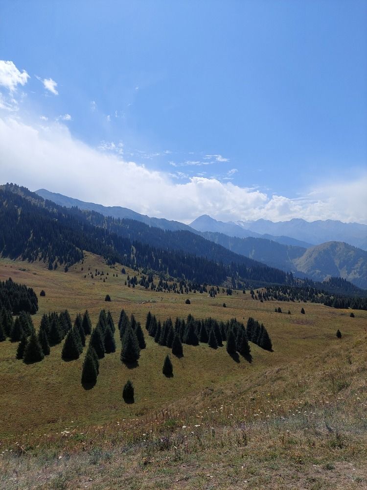 Фотография автора Елизавета Ростовцева