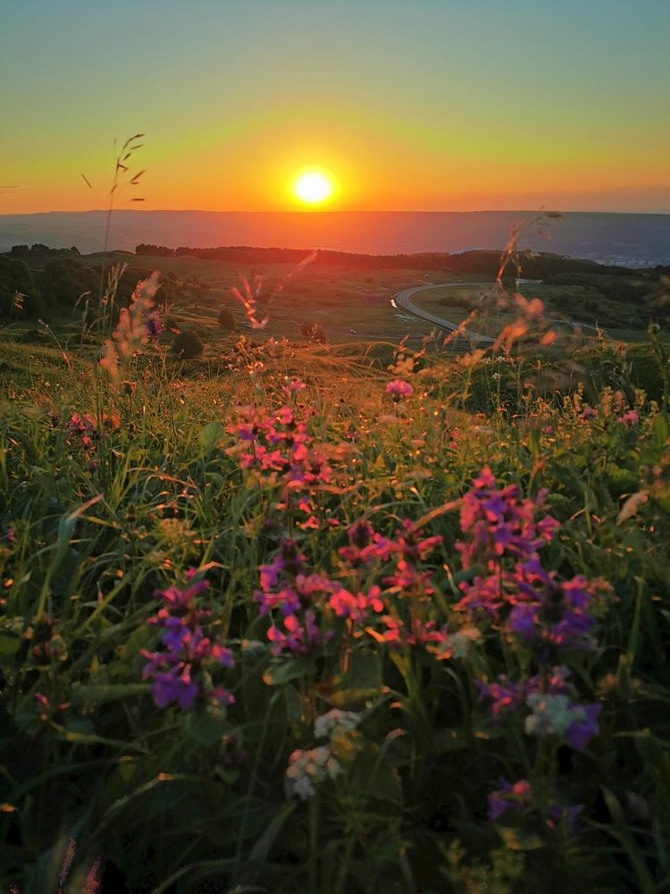 Photograph by Наталья Яковлева
