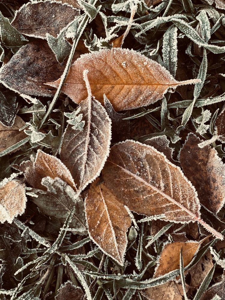 Photograph by Елена Безперстова