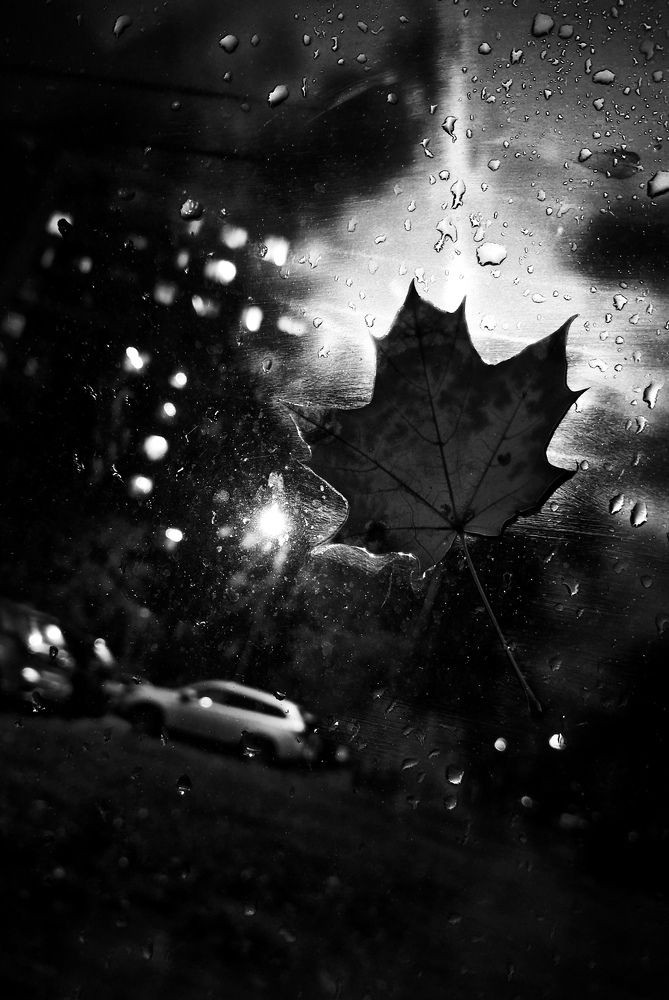Photograph by Svetlana Savilova