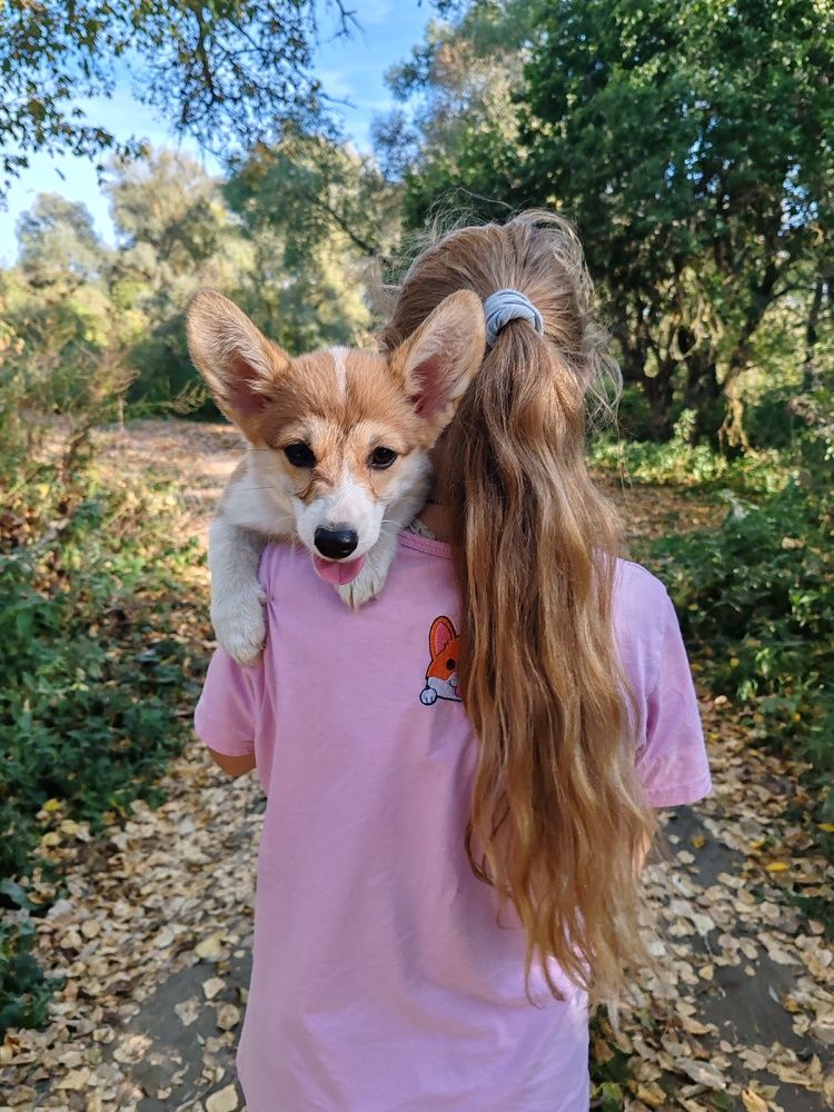 Фотография автора Кравцова Светлана