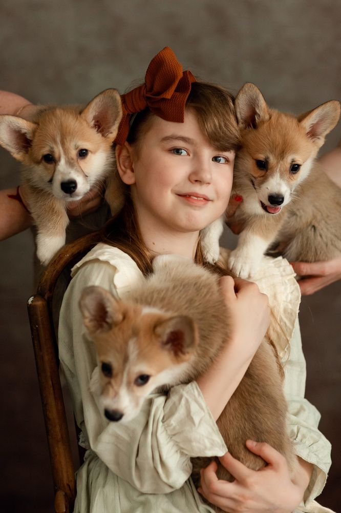 Фотография автора Кравцова Светлана