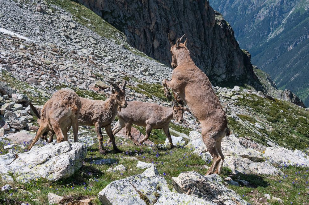 Photograph by Анастасия Григорян