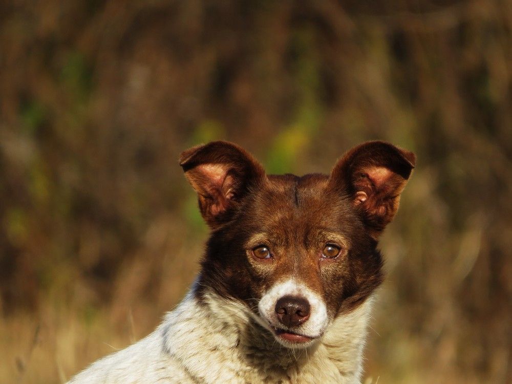 Photograph by Лариса Басова