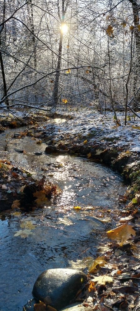 Photograph by Любовь Макарова