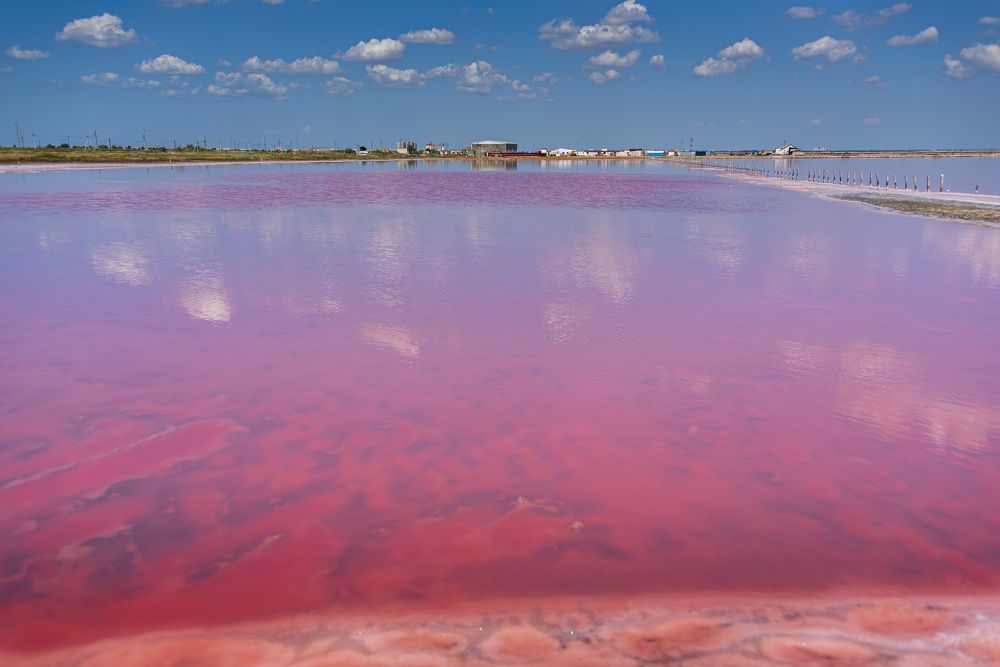 Photograph by Будаква Сергей