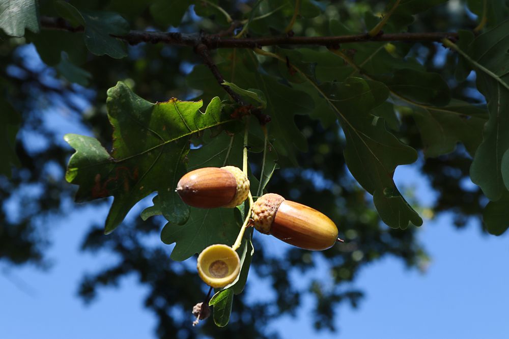 Photograph by Мария Самолевич