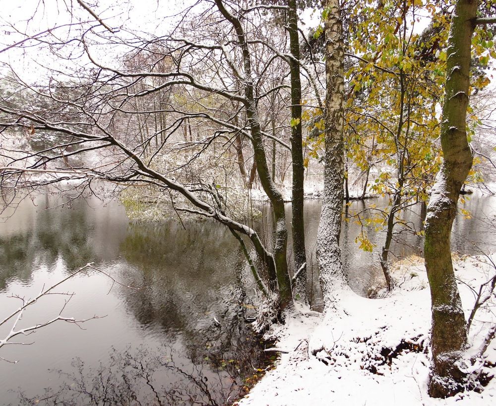Встреча осени и зимы