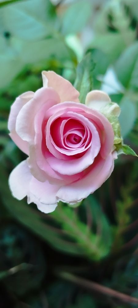 Photograph by Любовь Макарова