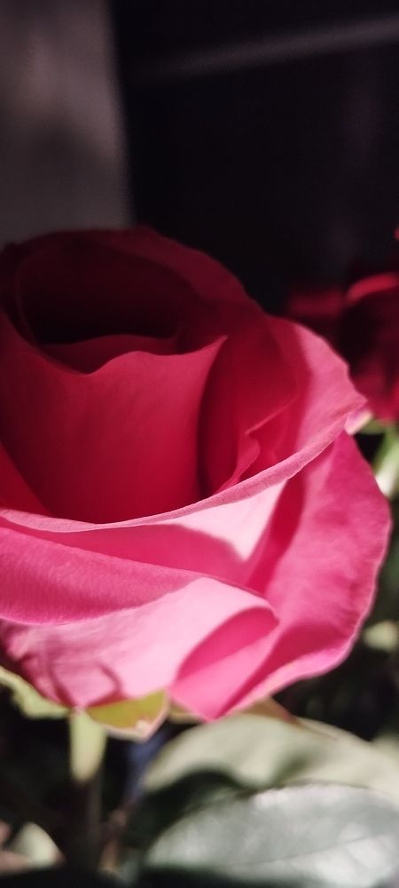 Photograph by Любовь Макарова