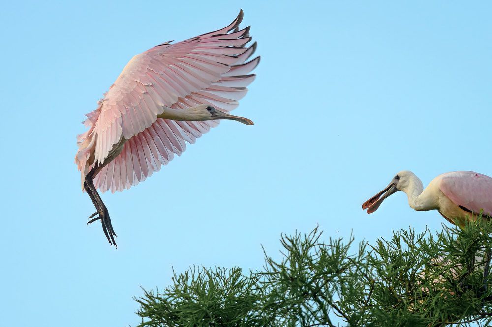 Фотография автора Erik Nelson