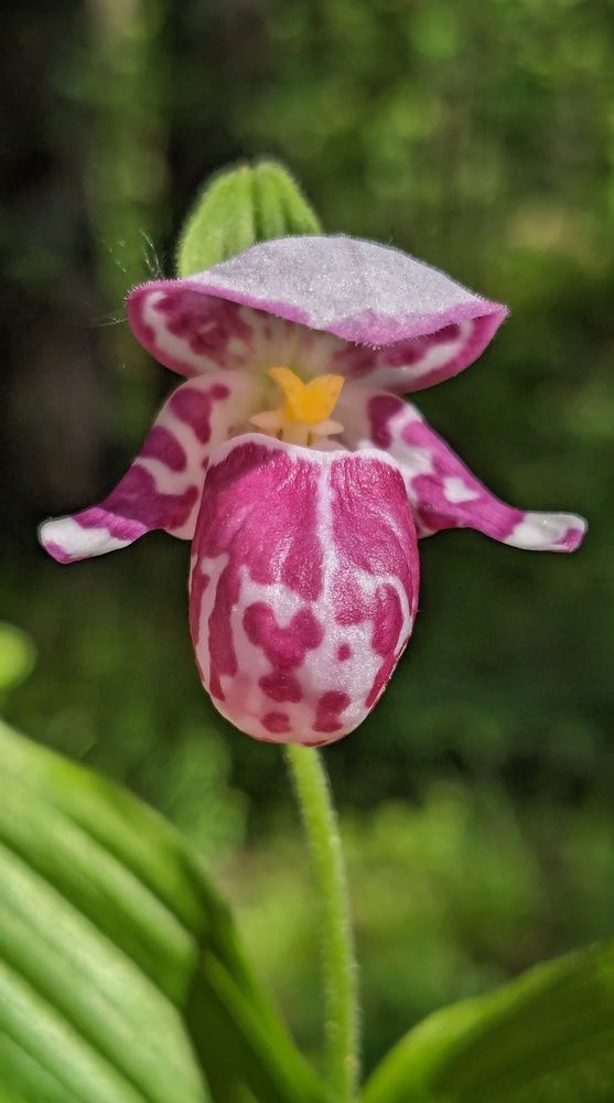 Photograph by Ольга Тимофеева