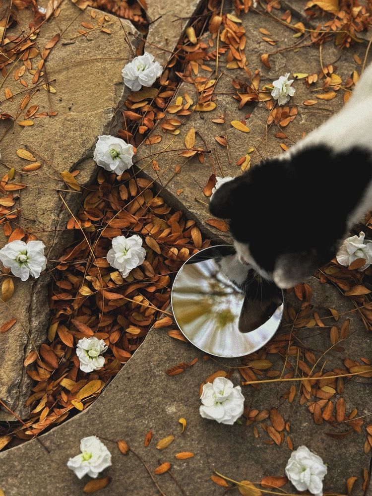 Photograph by Аруза