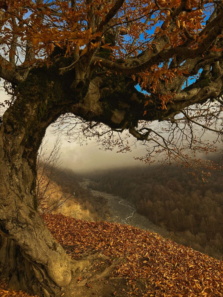 Photograph by Аруза