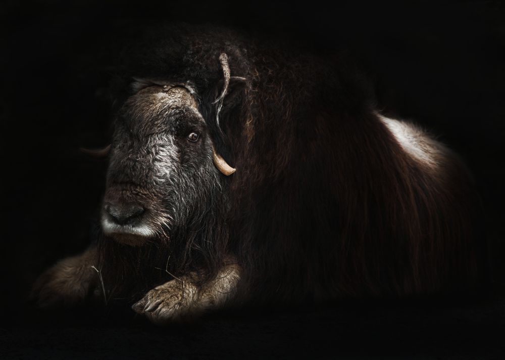 Photograph by Светлана Алексеева