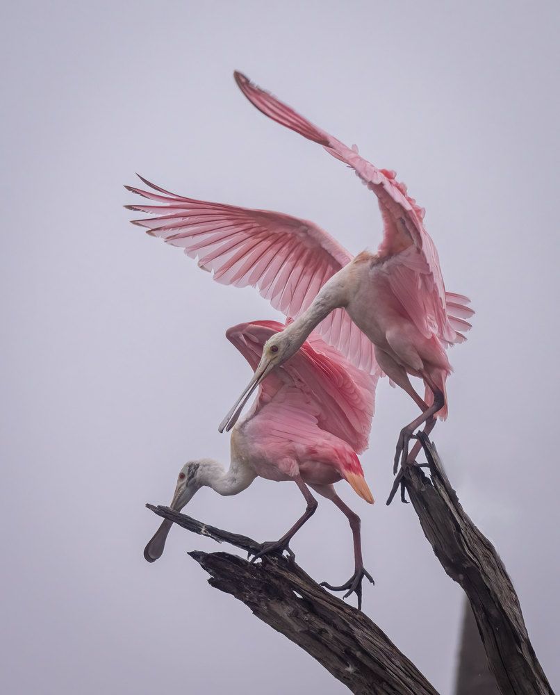 Photograph by Erik Nelson