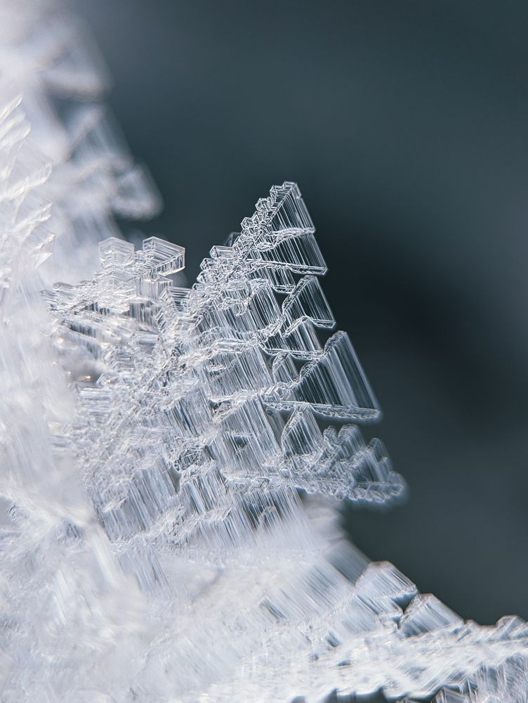 Фотография автора Мария Михайлова