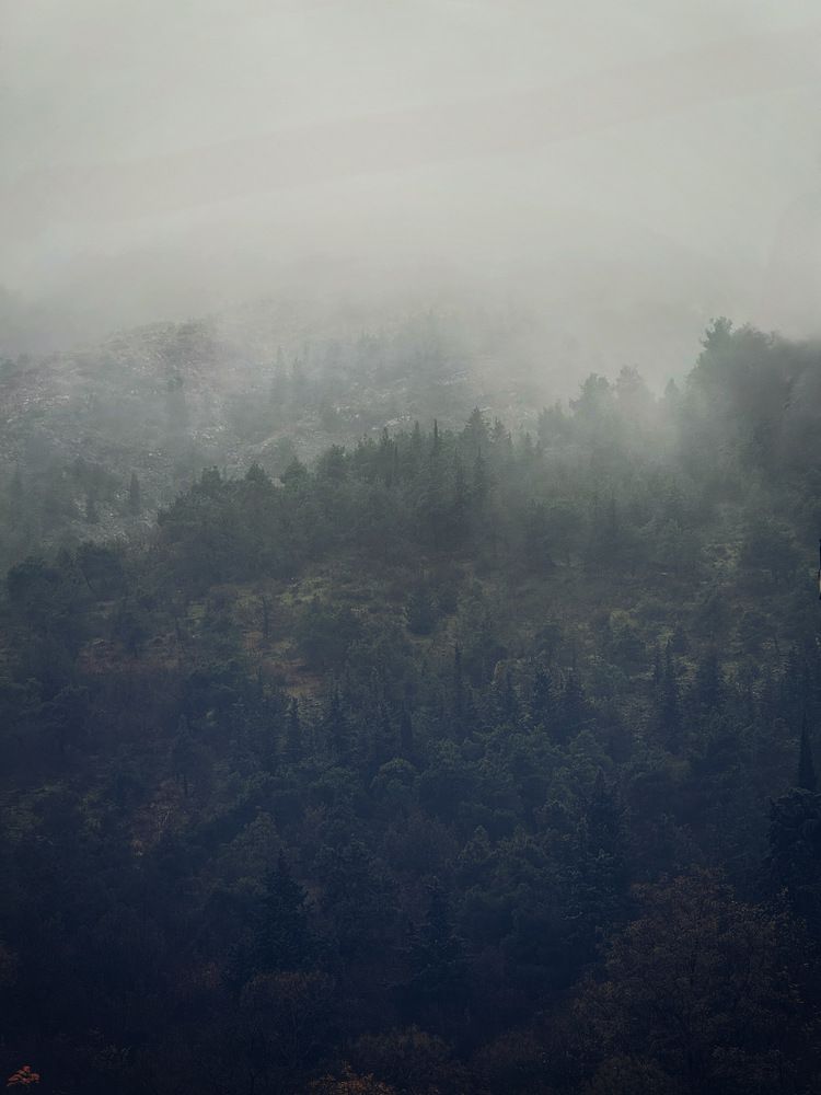 Photograph by Оксана Максименко