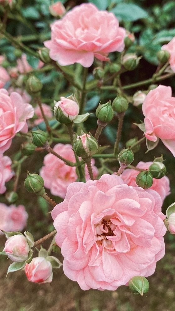 Photograph by Tatjana Schlag