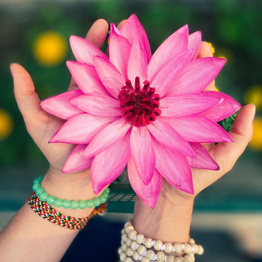 Photograph by Tatjana Schlag