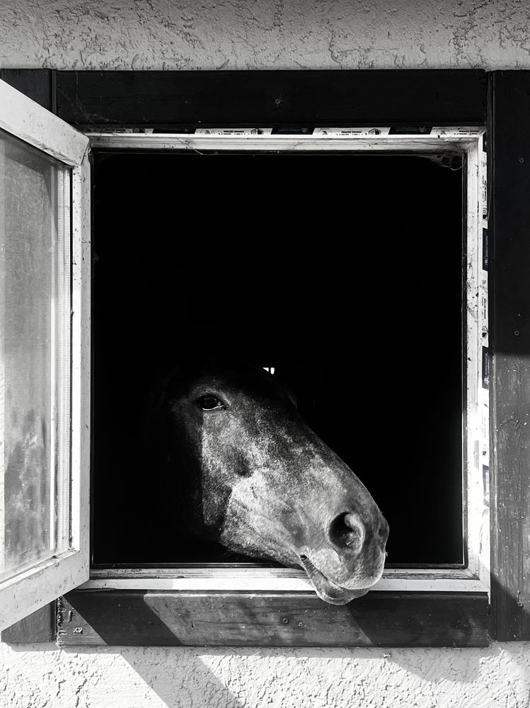 Photograph by Юлия Дудкова