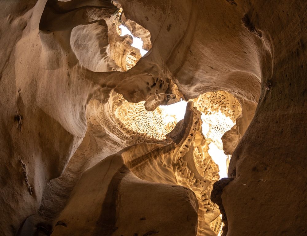 Photograph by Крицак Ольга