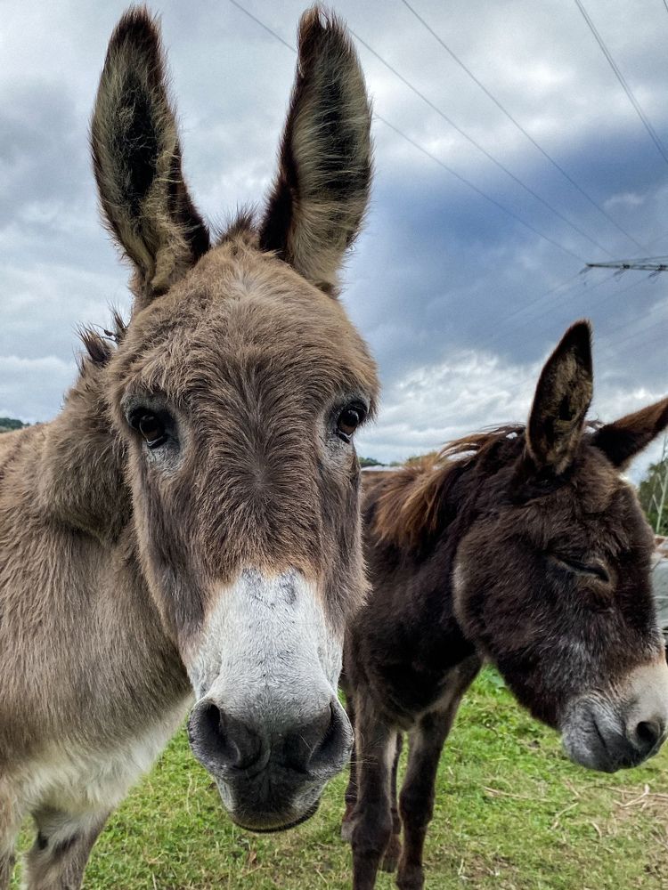 Photograph by Tatjana Schlag