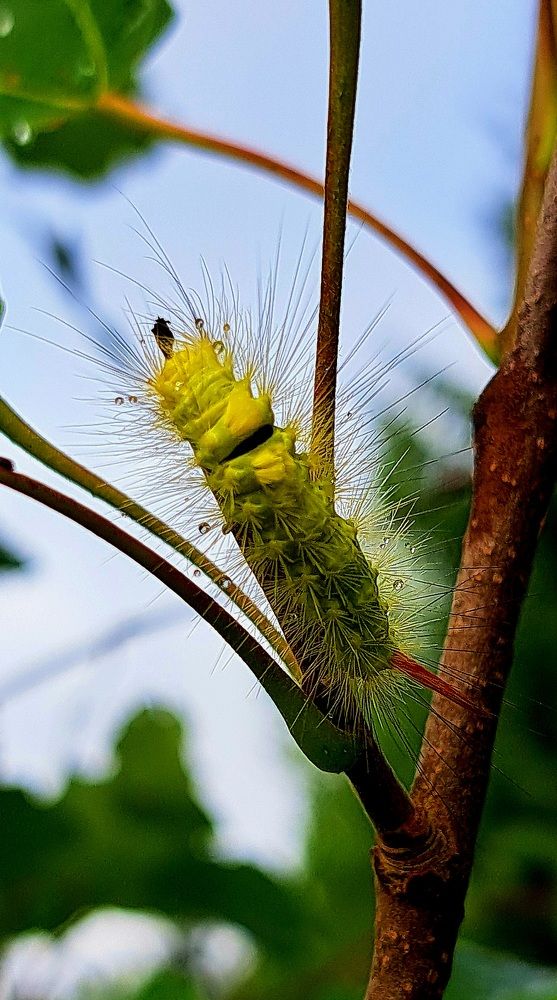 Photograph by Галина Перепечаева