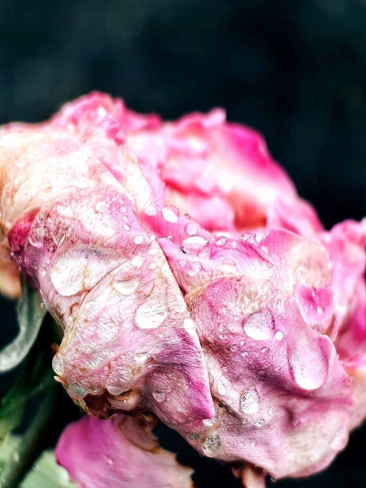 Photograph by Анастасия Доронкина