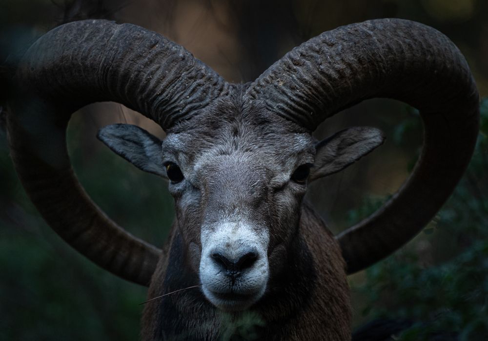 Фотография автора Adam Horvath