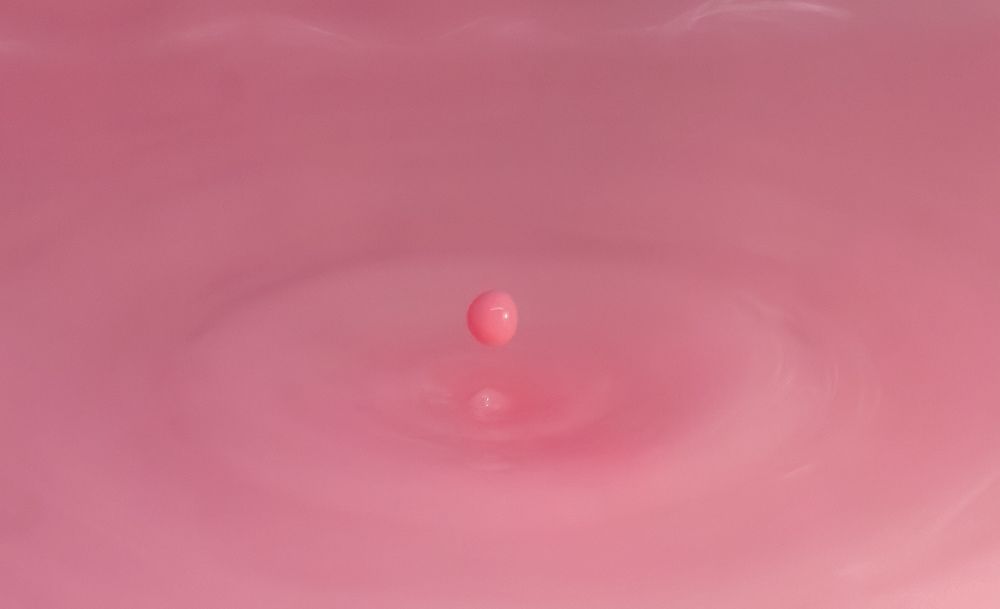 Photograph by Елизавета Нефедова