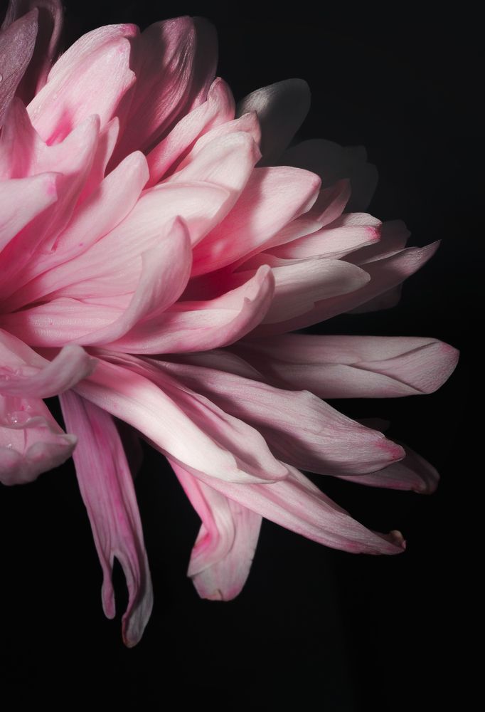 Photograph by Маргарита Смоленская