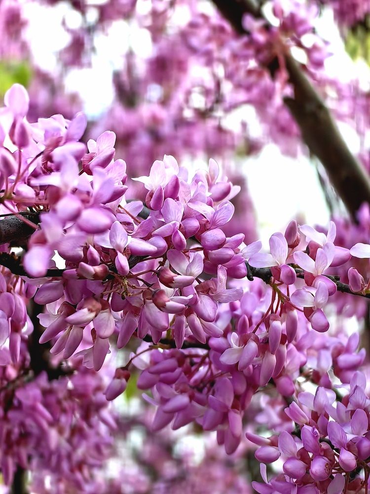 Photograph by Анастасия Доронкина