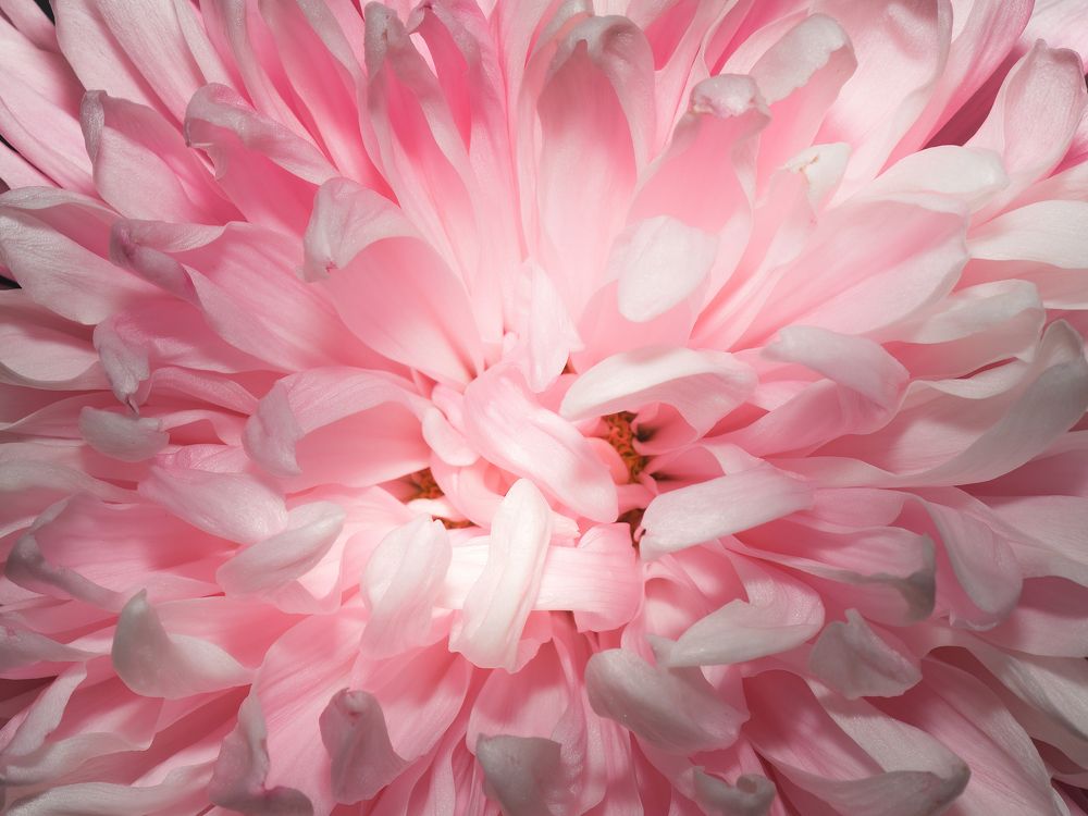 Photograph by Маргарита Смоленская